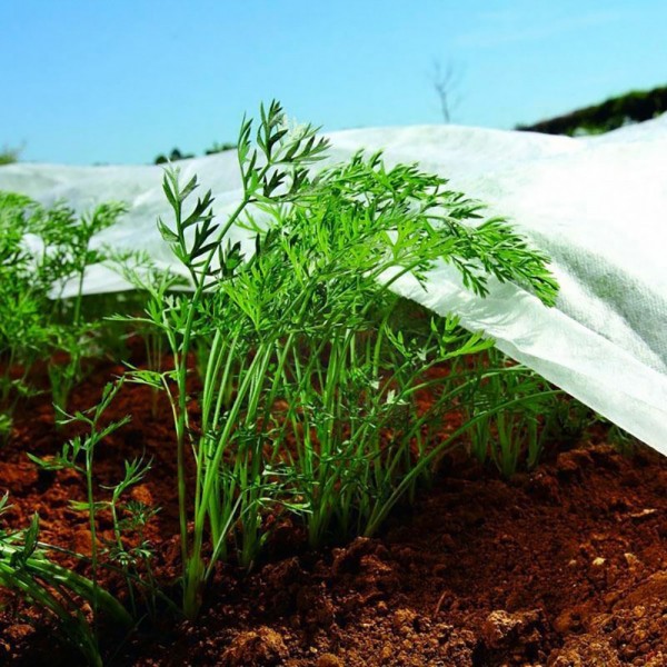 Tela de protección para cultivos-bobina 2x20m 30gr/m² biotop garden