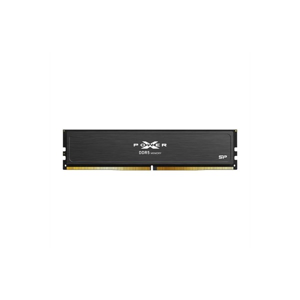 Sp memoria ddr5-5600,c40,oc-udimm,16gb sr